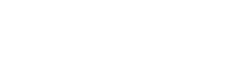 bellissimo logo