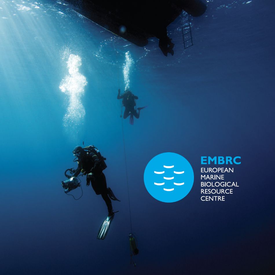 underwater image for embrc